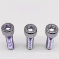 Hex Socket Set Cap Head Tapping Screw